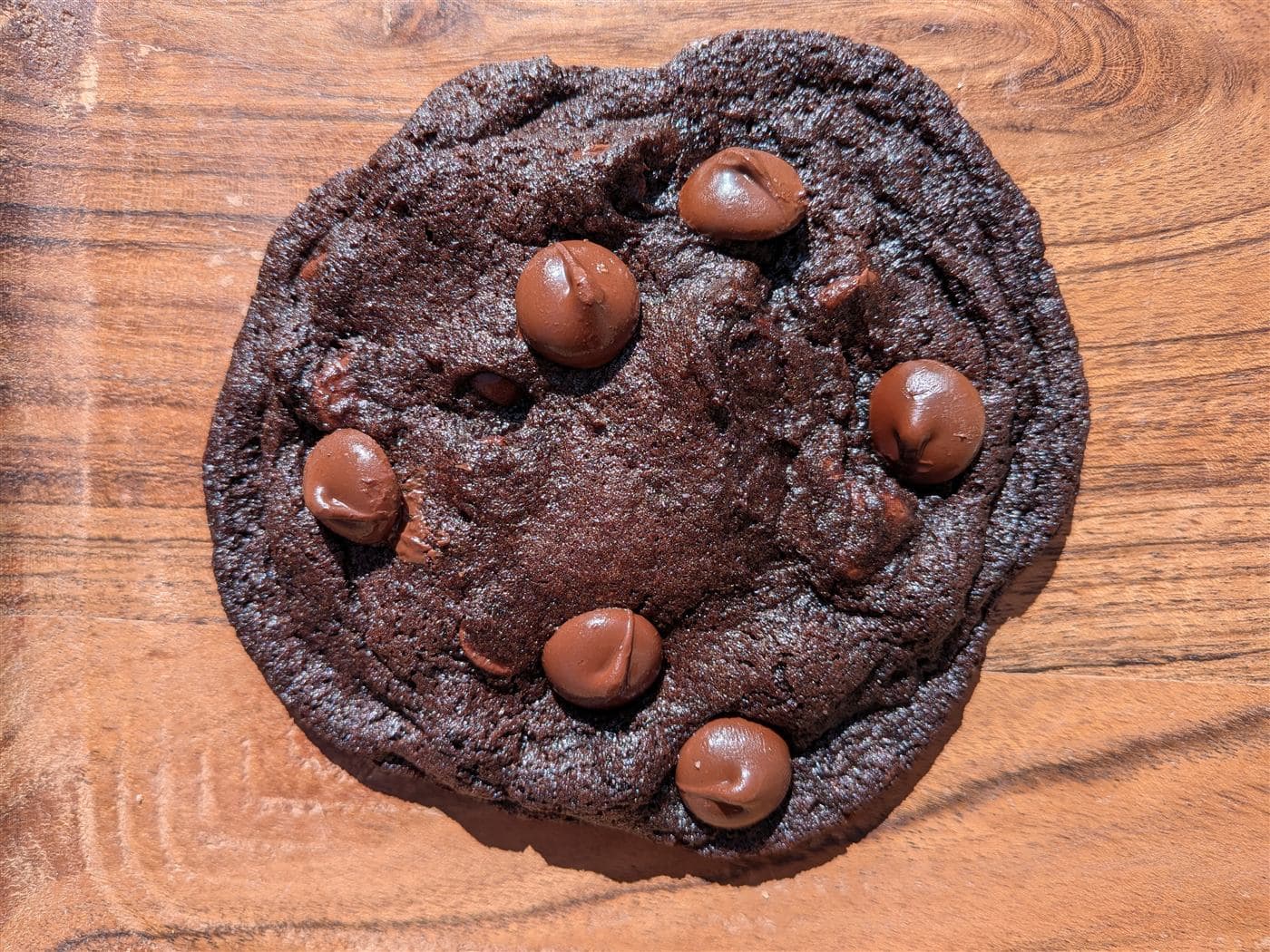 Single double chocolate chip cookie close-up