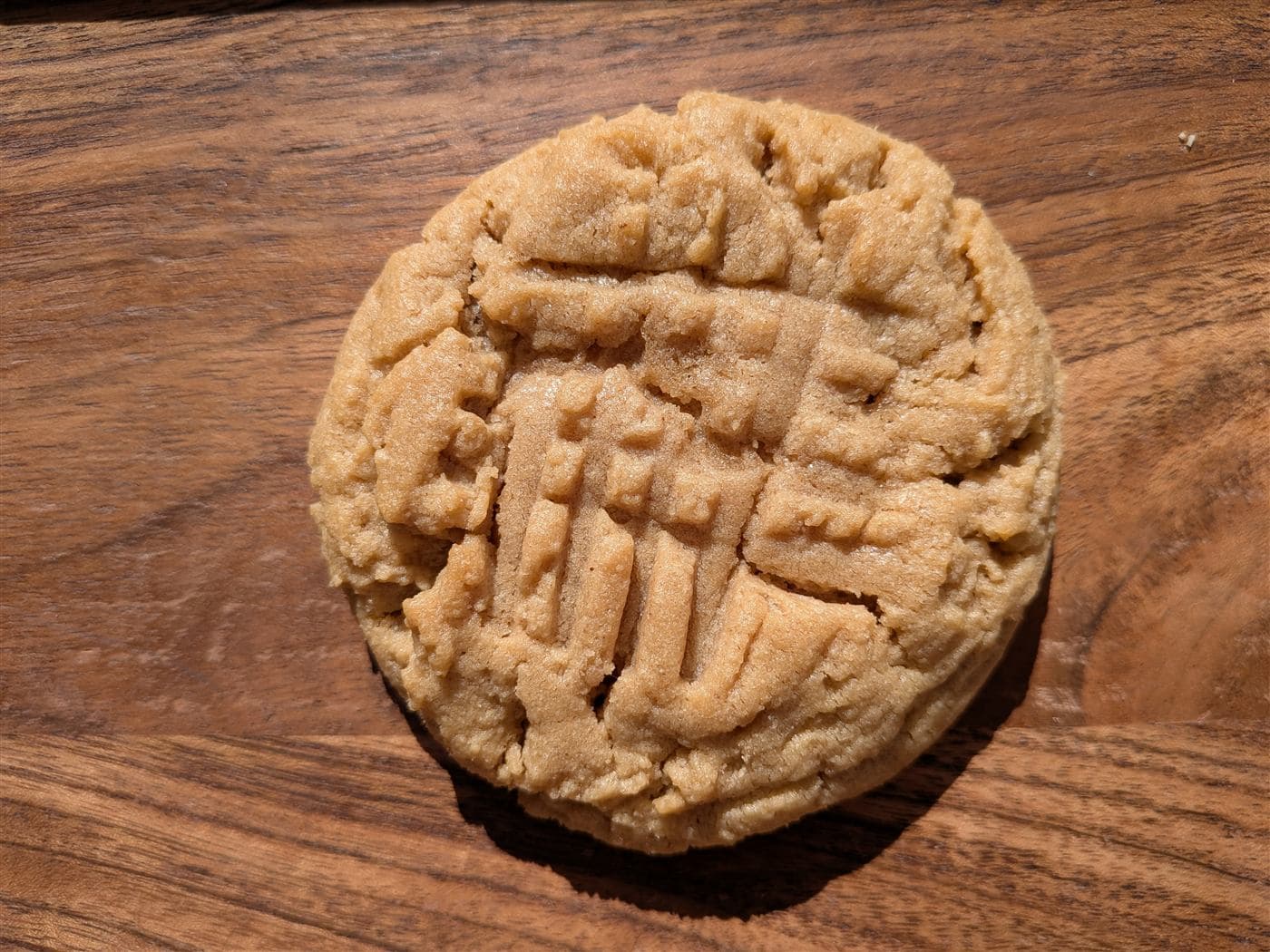 Single peanut butter cookie close-up
