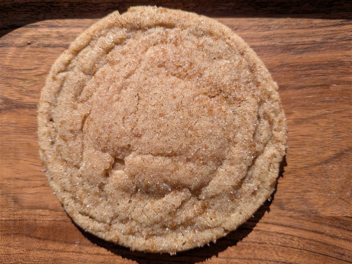 Single snickerdoodle close-up