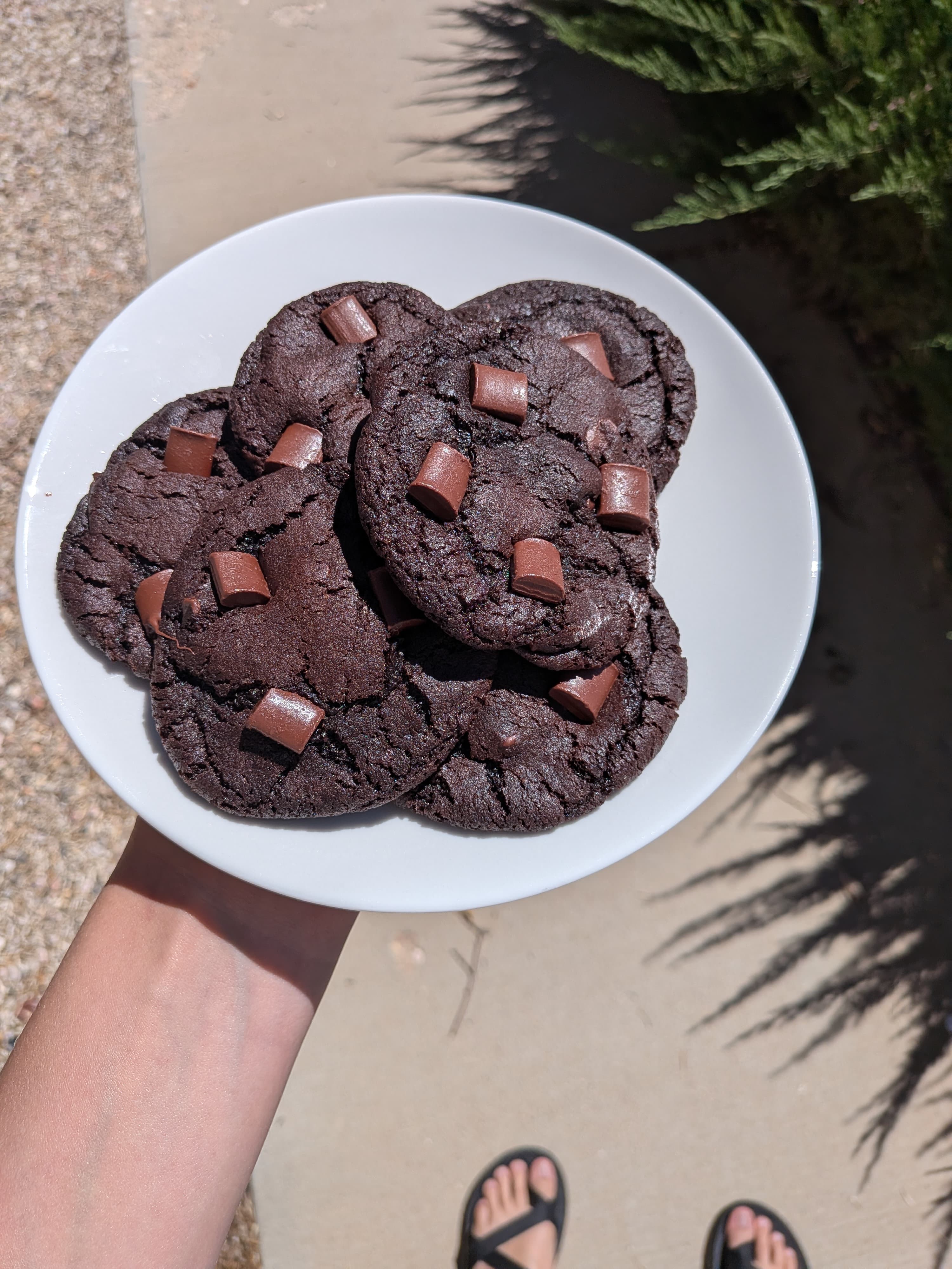 Double Chocolate Chip